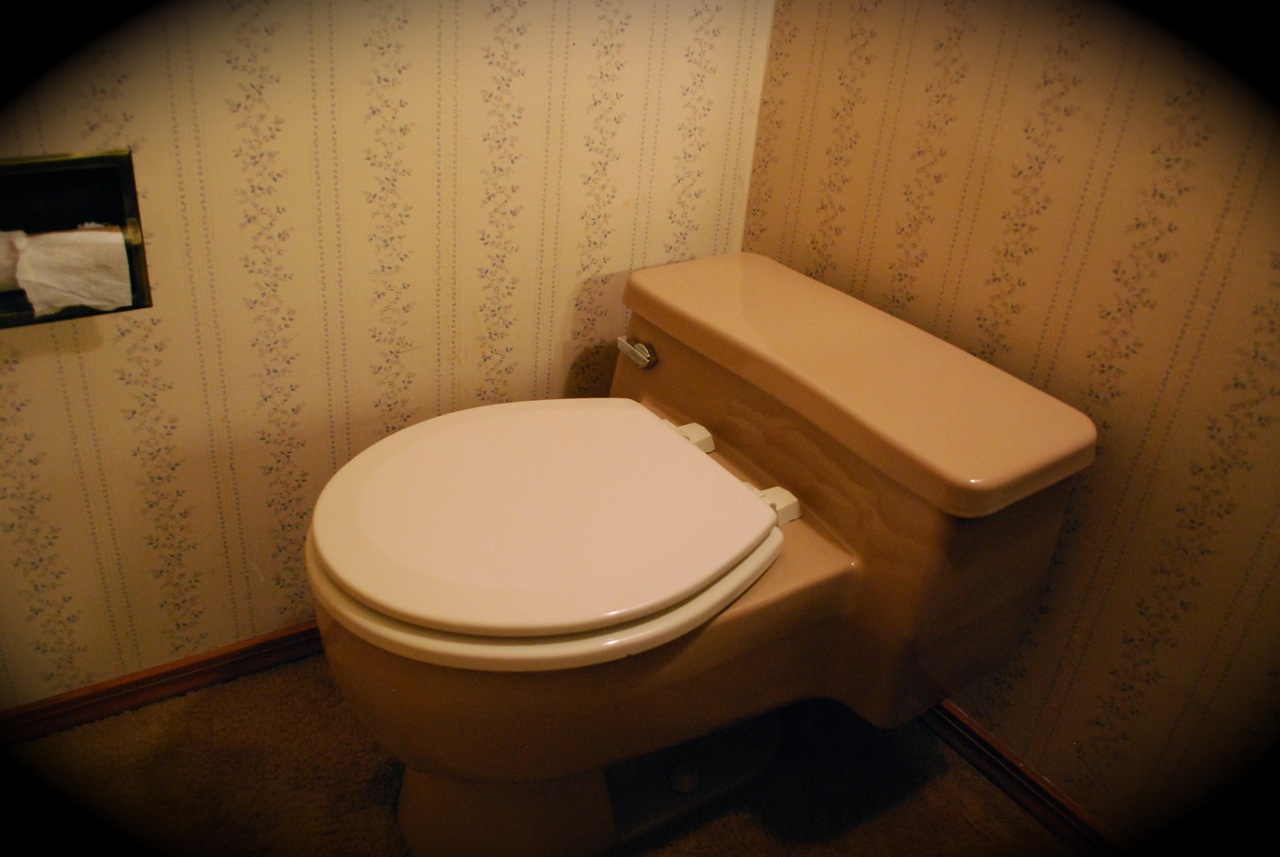 Jen and Ink We Bought a Fixer Guest Bathroom Gut