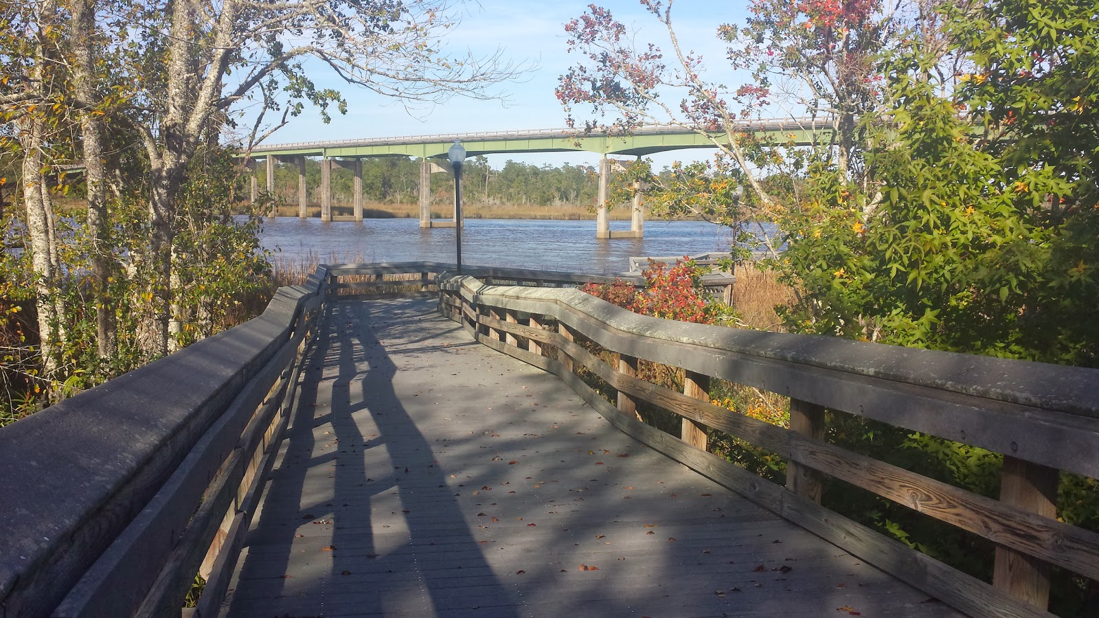 Flaming June on the Run First Ever 30 Mile Week! And Coast