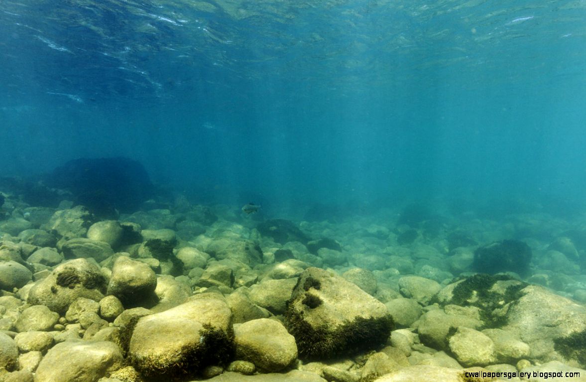 River Underwater Wallpapers Gallery