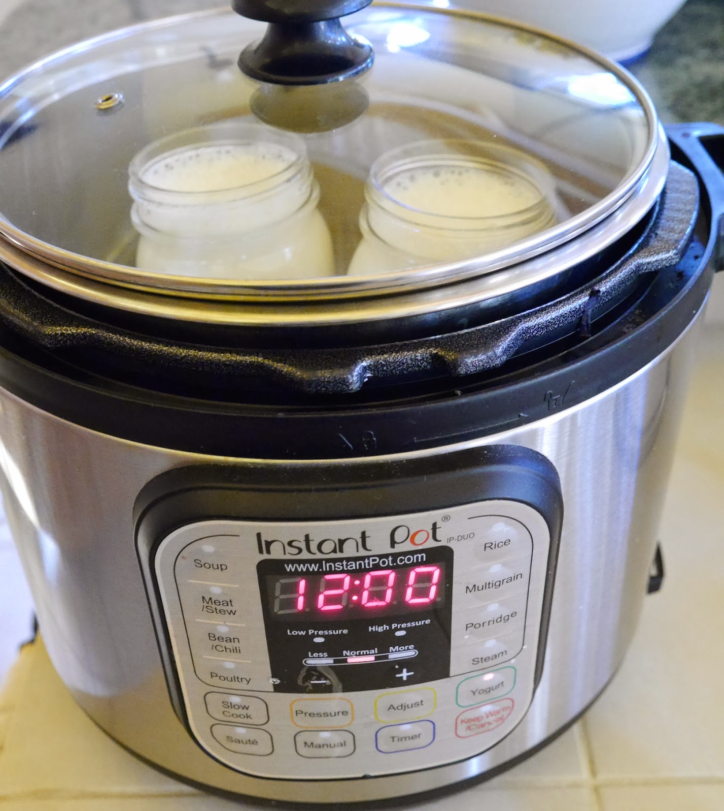 Foods For Long Life Make Thick, Creamy Vegan Yogurt With An Instant Pot Or Yogurt Maker 5