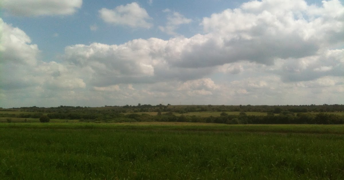Watch Out For The Bull Baling Hay