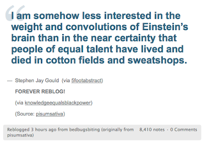 Quote: I am somehow less interested in the weight and convolutions of Einstein’s brain than in the near certainty that people of equal talent have lived and died in cotton fields and sweatshops.