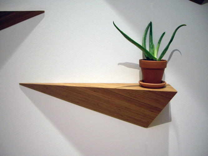 Alive & Kicking Angle Shelf by ALS Designs