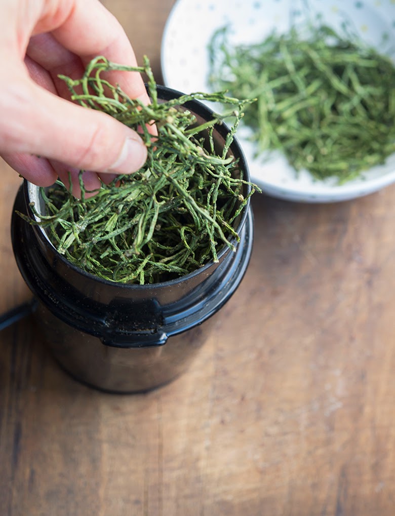Sea Asparagus (Sea Bean) Salt WILD GREENS & SARDINES