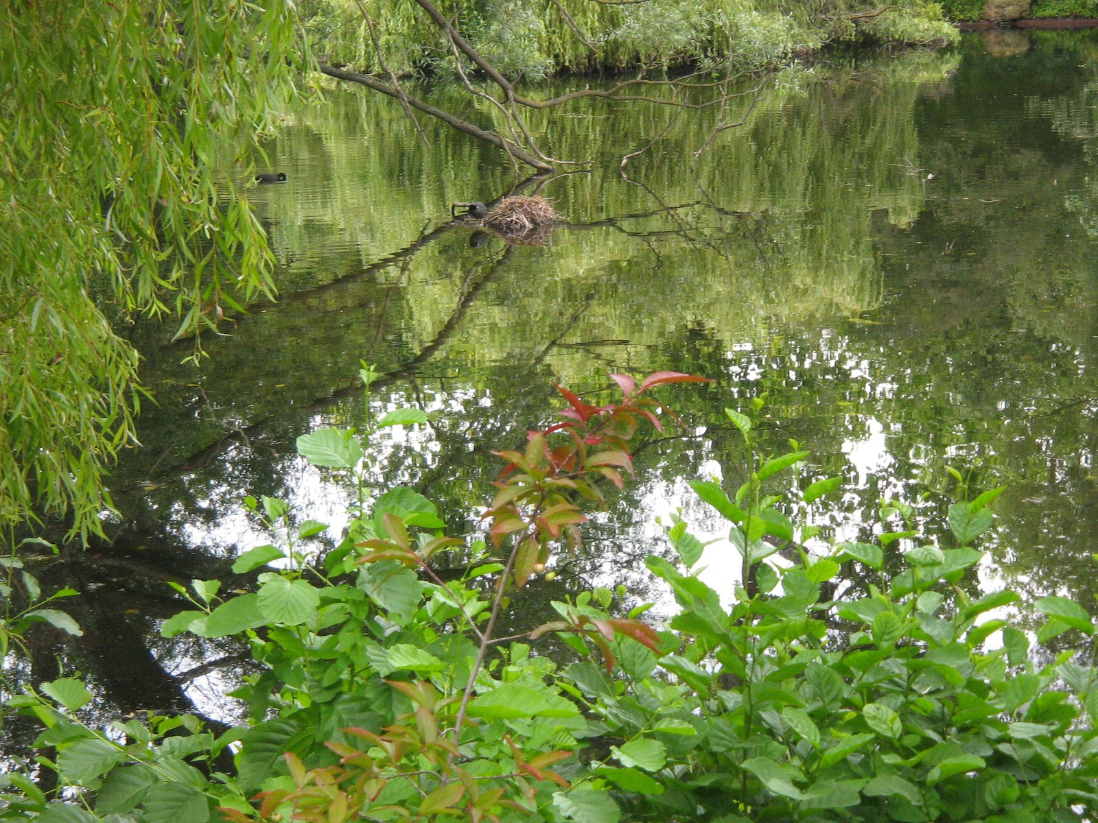 My Recollections: BUCKINGHAM PALACE..... THE VISIT