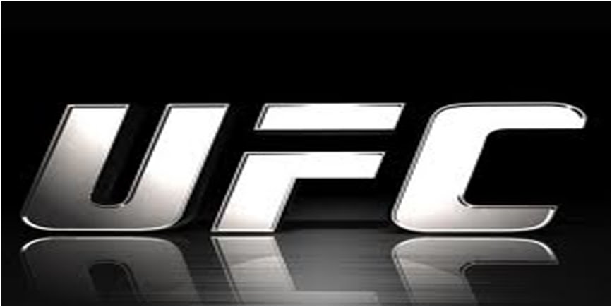 UFC - SEM LIMITES