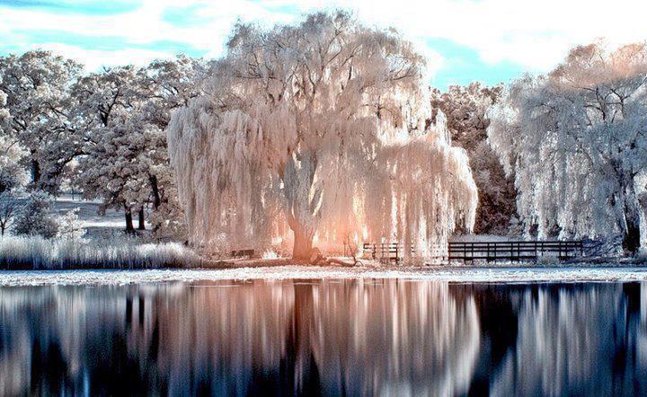 A Year Of Being Here Tom Montag Winter Afternoon Early December