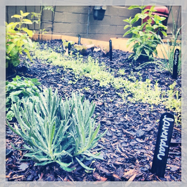 for each wind that blows DIY [Cheap] Garden Stakes