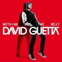 2- david guetta (nothing but the beat)