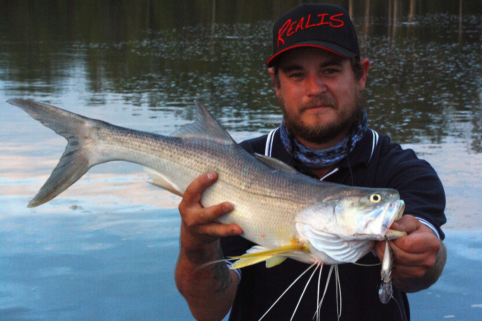 The Fish Cure THERE IS NO PLACE LIKE..... HERVEY BAY