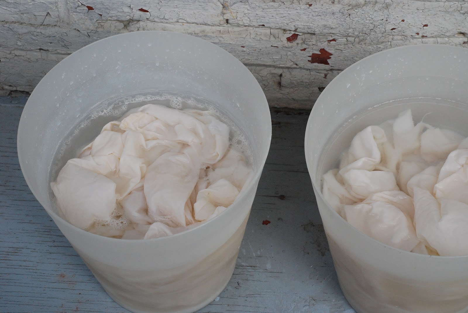 A Honeymooner's Guide to Living alum mordant, dyeing with cabbage