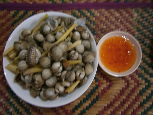 Resipi Saye Kerang Rebus