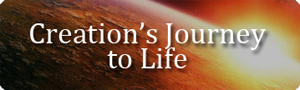 Creation's journey to life