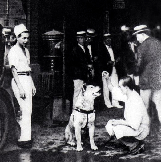 Un mundo detrás de letras Hachiko, el perro que esperaba Luis Prats