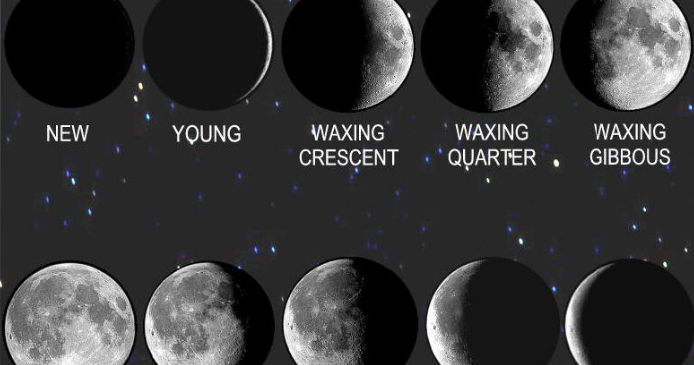 Classroom to Homeroom: Engaging My Learner: Science