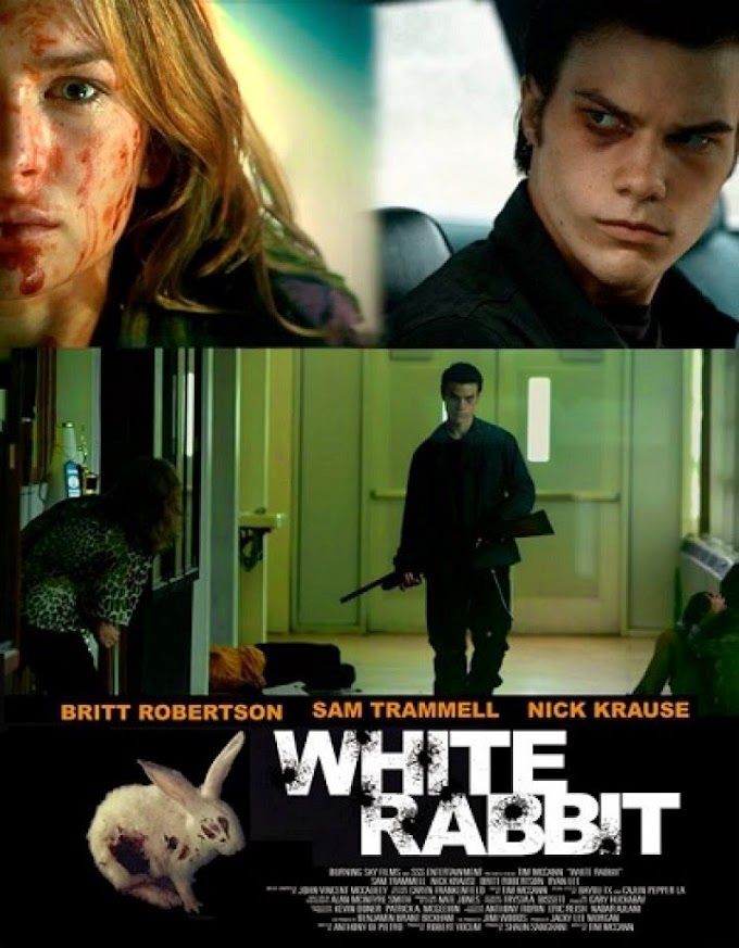 مشاهدة وتحميل فيلم White Rabbit 2013 مترجم اون لاين