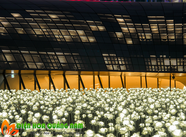 [Image: Kham-pha-vuon-hoa-hong-den-LED-o-Han-Quoc-8.png]