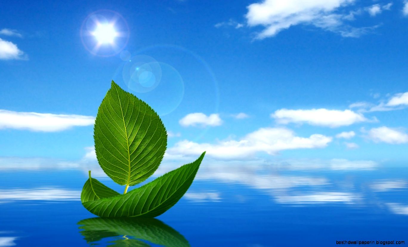 Beautiful Nature Wallpaper For DesktopFree Download Nature Beautiful Nature Wallpaper For DesktopFree Download Nature