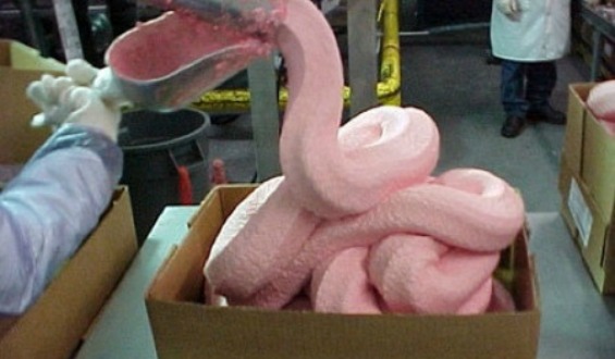 pink-slime.jpg