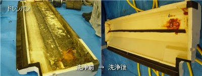 080114-5.jpg