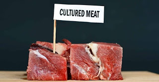 Il Futuro della carne: CARNE VEGANA o CARNE COLTIVATA? Quale che sia la vincitrice, animali salvi!