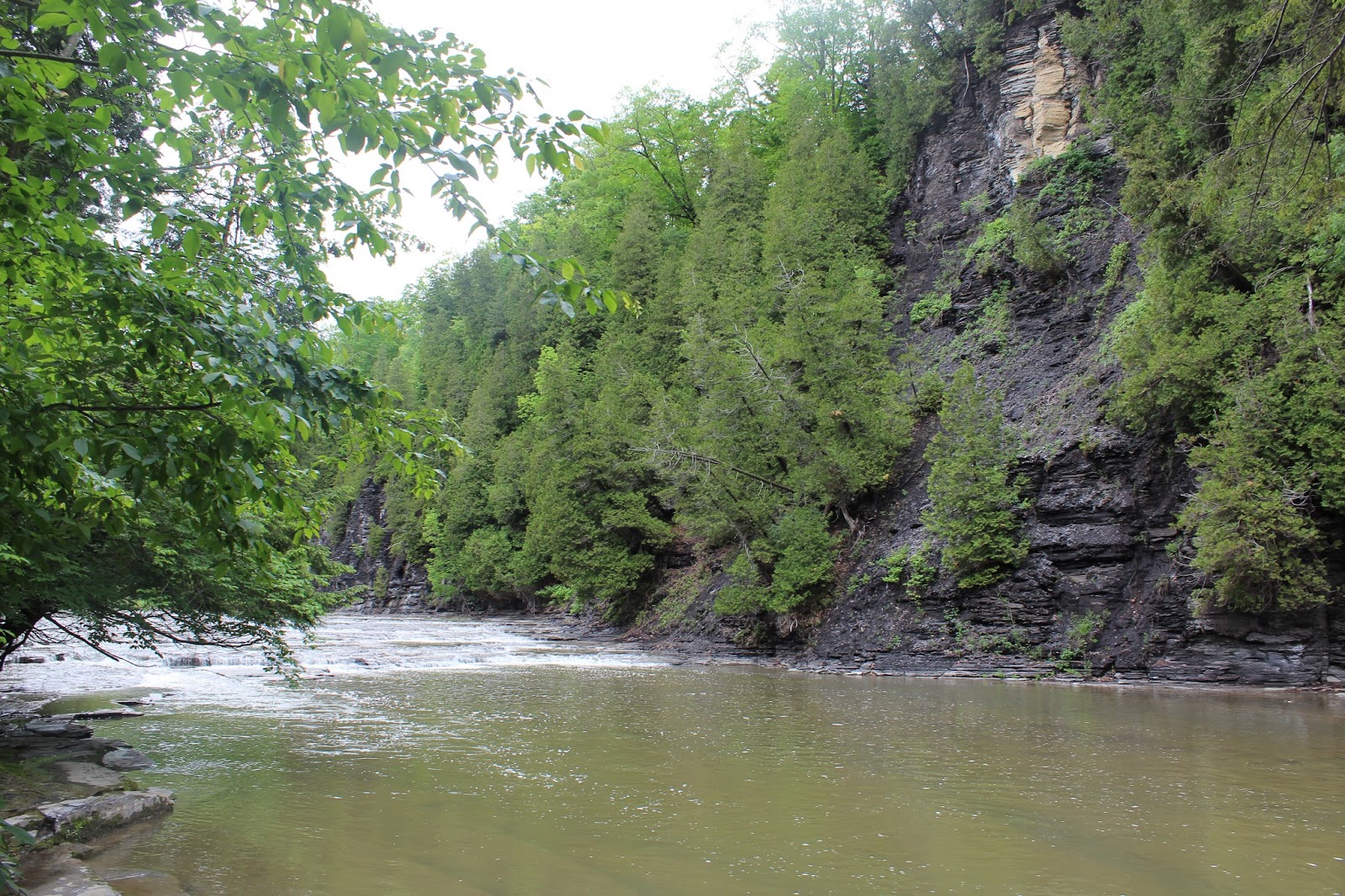 Walking Man 24 7 Canajoharie Yatesville Falls/ Christman