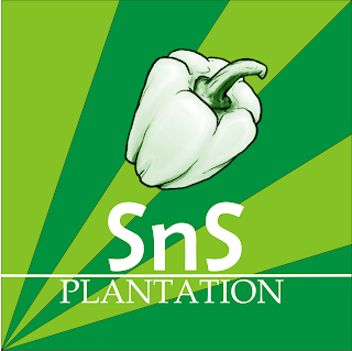 S & S Plantation Logo