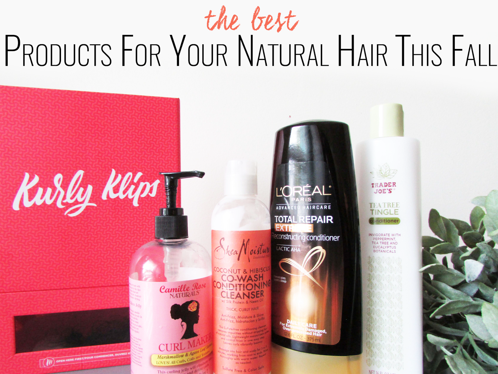 Savingourstrands Celebrating Our Natural Kinks Curls Coils