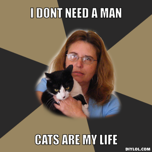crazy-cat-lady-meme-generator-i-dont-nee