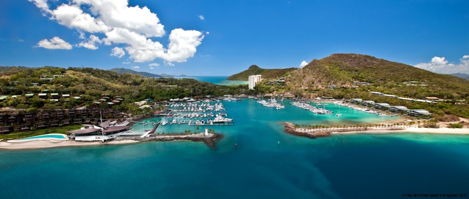 HEAD TO HAMILTON ISLAND Vikings HEAD TO HAMILTON ISLAND Vikings