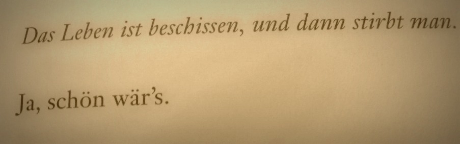 Denn so spielt das Leben Das Leben ist beschissen,und dann stirbt man