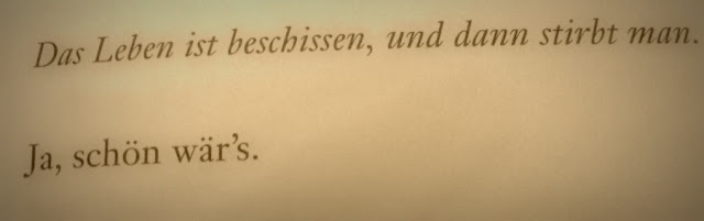 Denn so spielt das Leben Das Leben ist beschissen,und dann stirbt man