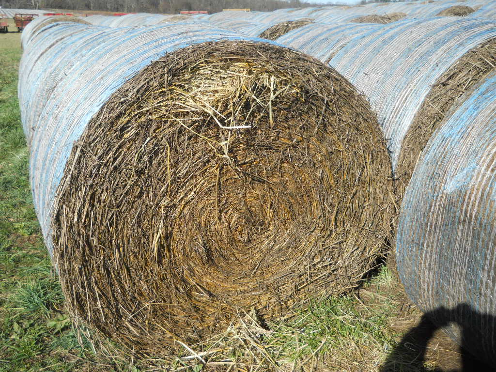 White House Farms Fescue Free Horse Hay!