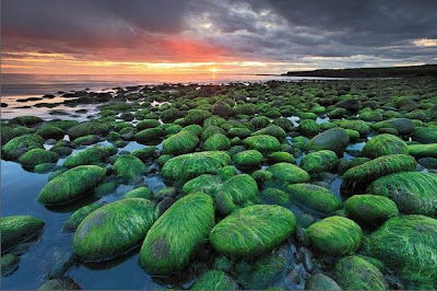 Sreenshot: http://www.earthshots.org/