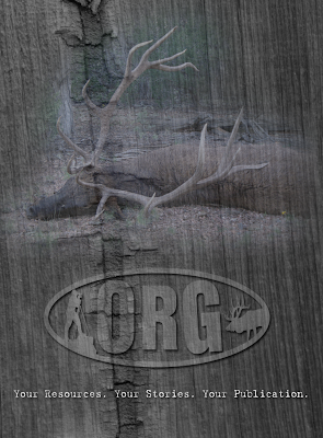 ORG-Ad.png