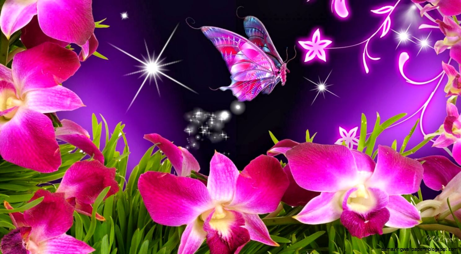 butterfly flowers orchid butterfly flowers orchid