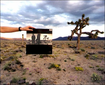 THE JOSHUA TREE  (su esencia nunca morira "u2")