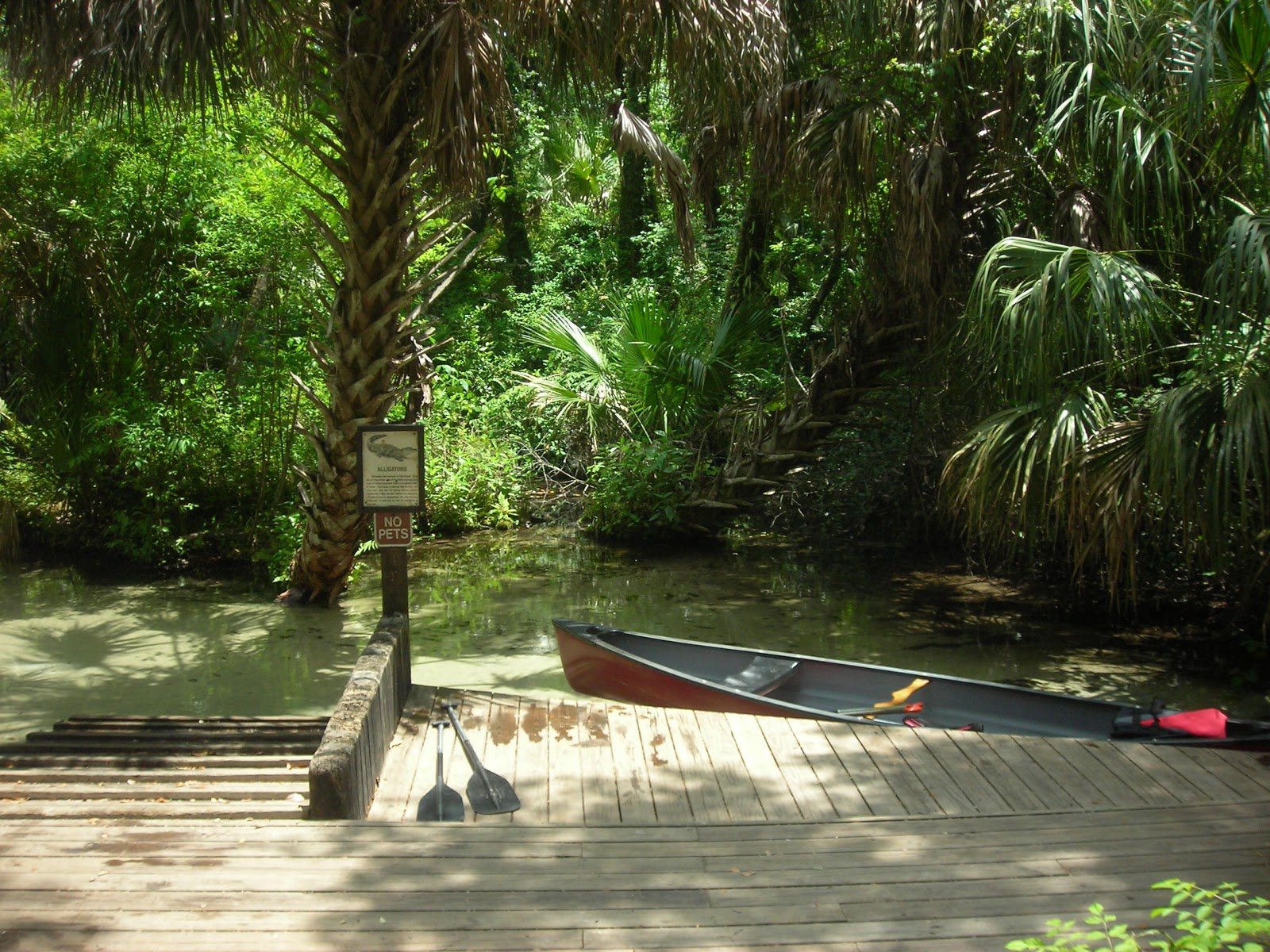 Florida Water Nature Juniper Springs Florida Kayaking, Canoeing, Camping