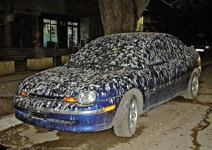 car+covered+in+bird+poop+dr+heckle+funny
