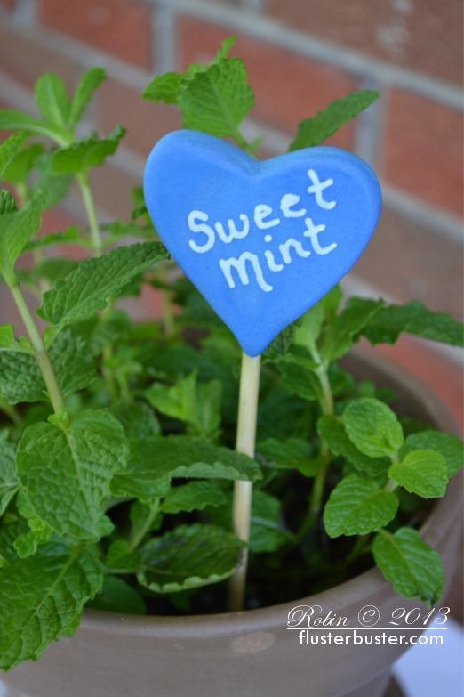 Garden Stakes Make your own Fluster Buster