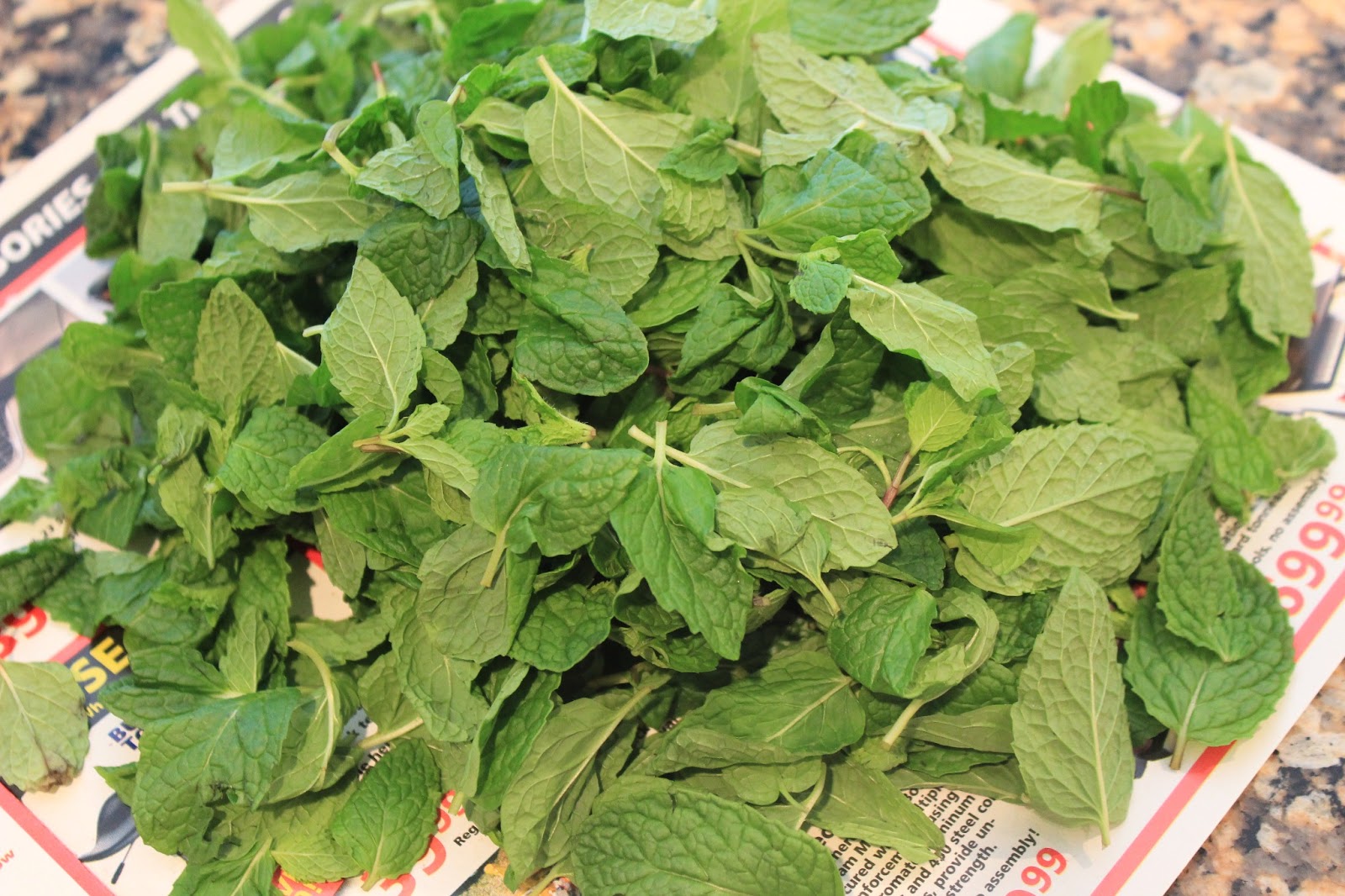 Simple Ingredients Storing Mint leaves (pudina)
