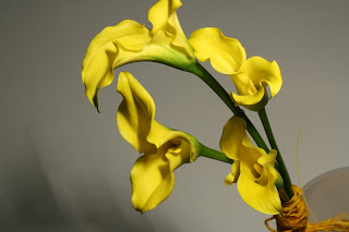 FLORS MAS LLUHI: CALA O LIRIOS AMARILLO TU RAMO DE NOVIA.