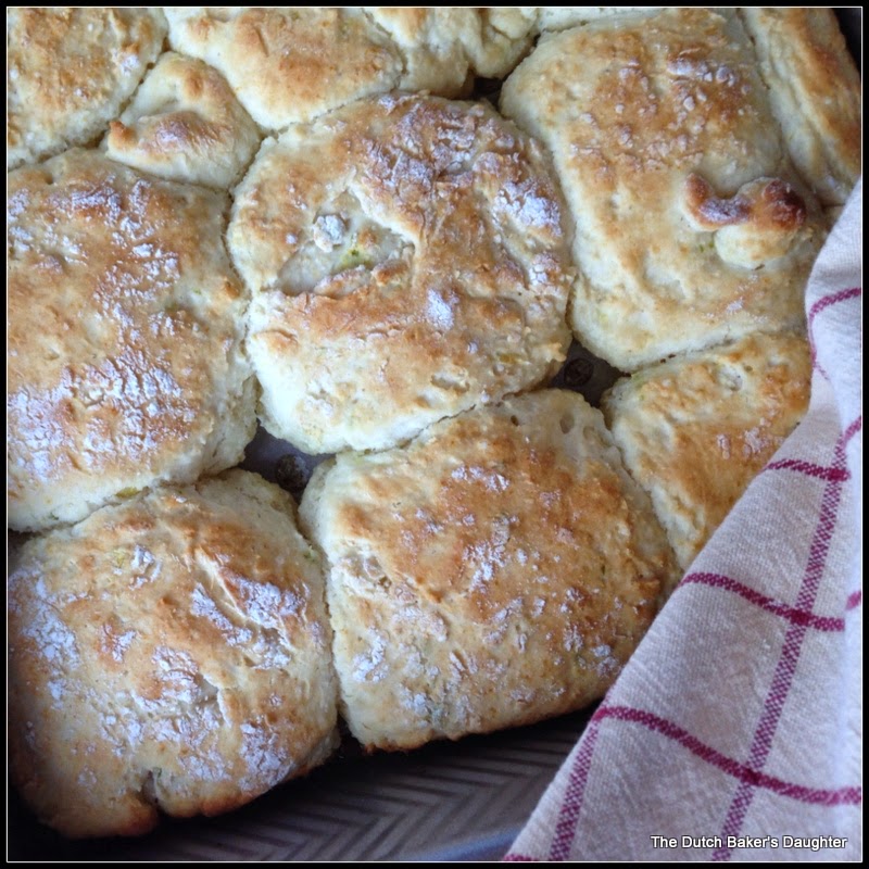 The Dutch Baker's Daughter LemonLime Biscuits