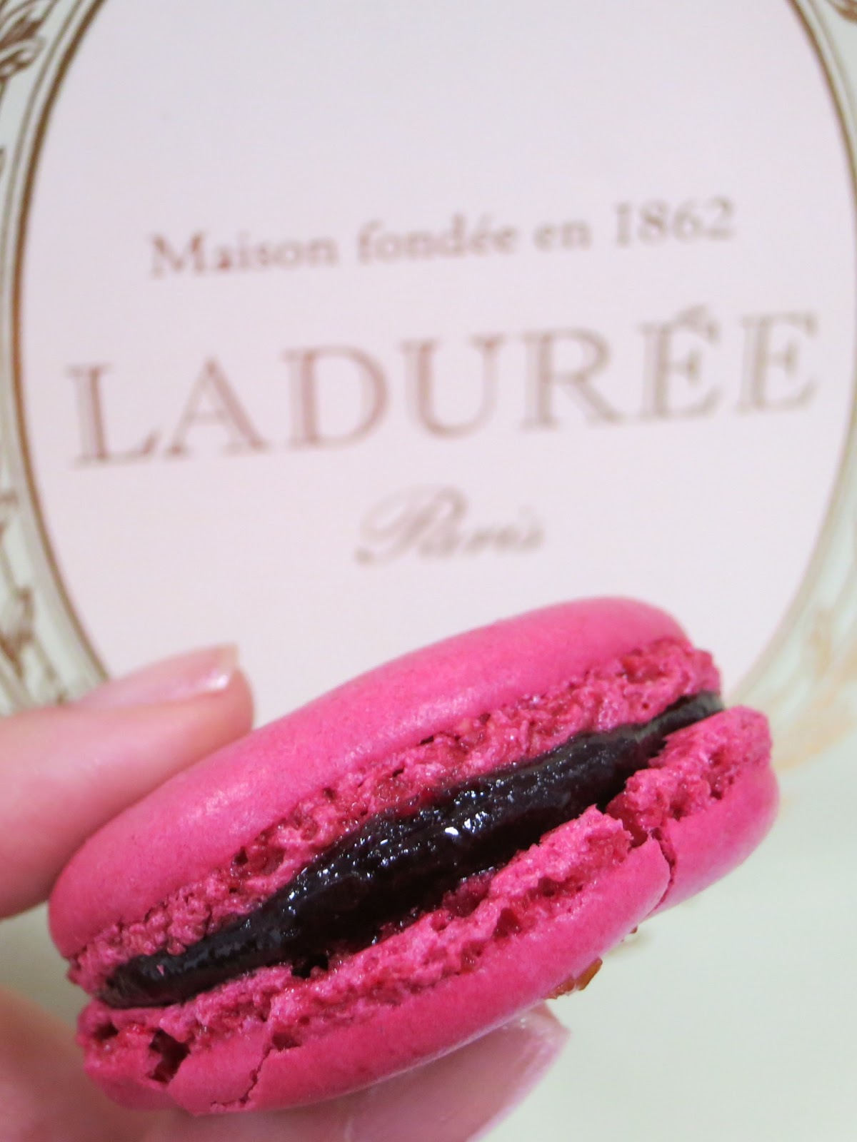 PinkyPiggu: Renowned Ladurée Macarons is now in Singapore!