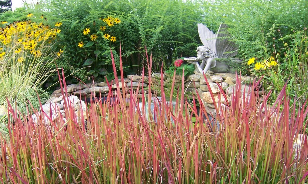 The Plant Hunter 2018
