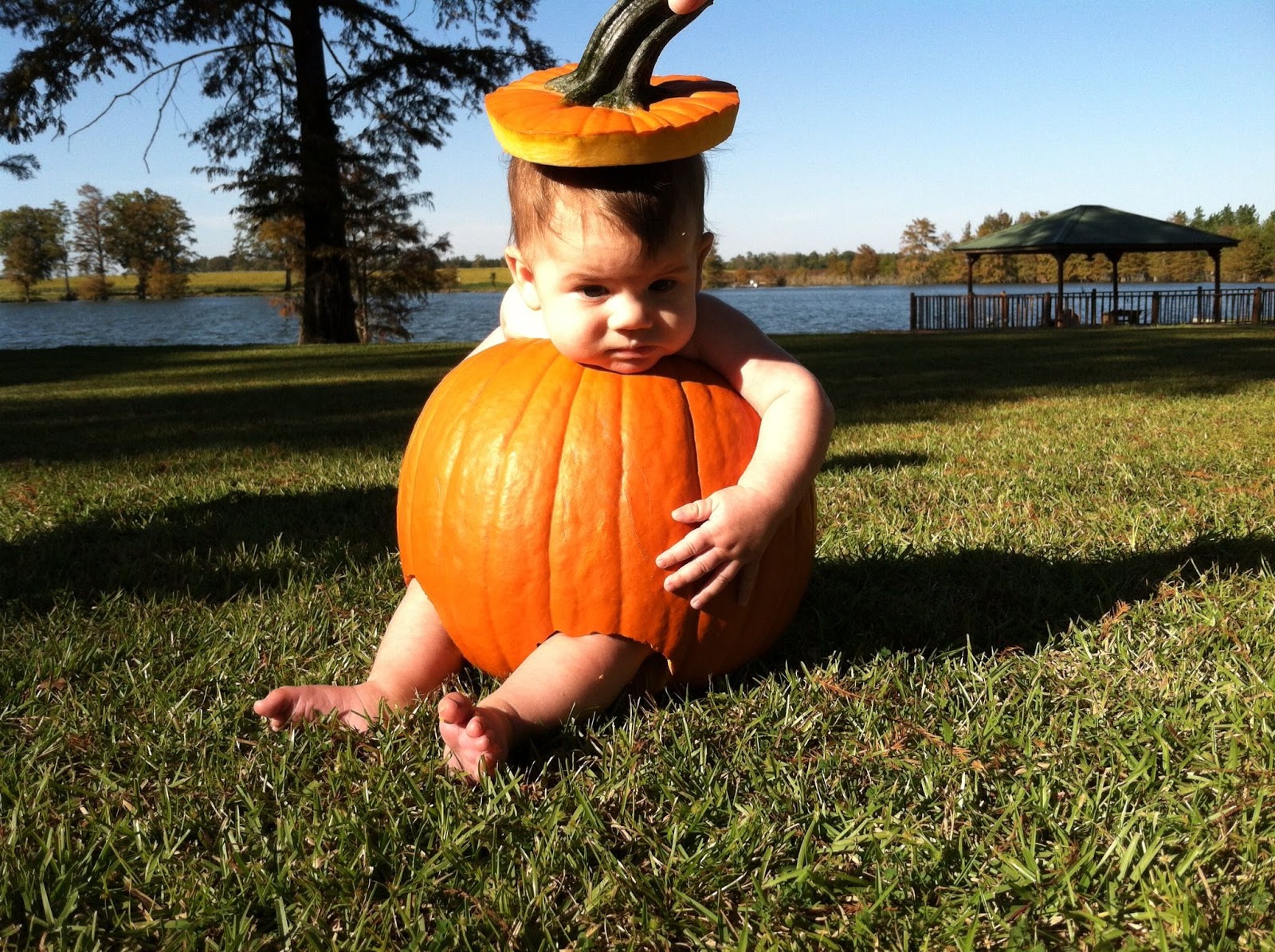 Pumpkin Baby Photos.