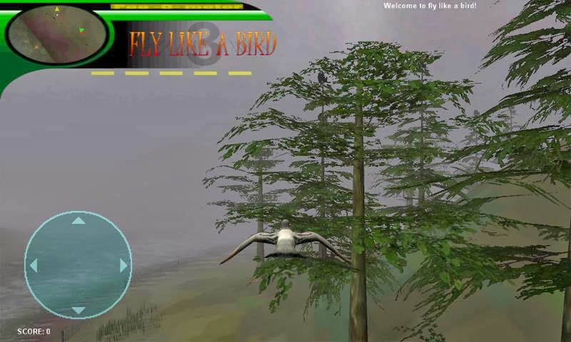 Fly Like A Bird Free No Download