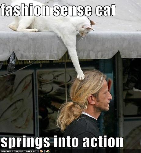 funny-pictures-fashion-sense-cat-springs-into-action.jpg