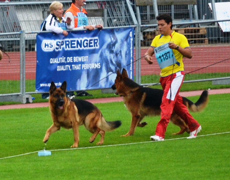Herunterladen Lehrerbucherei Grundschule Berufseinstieg