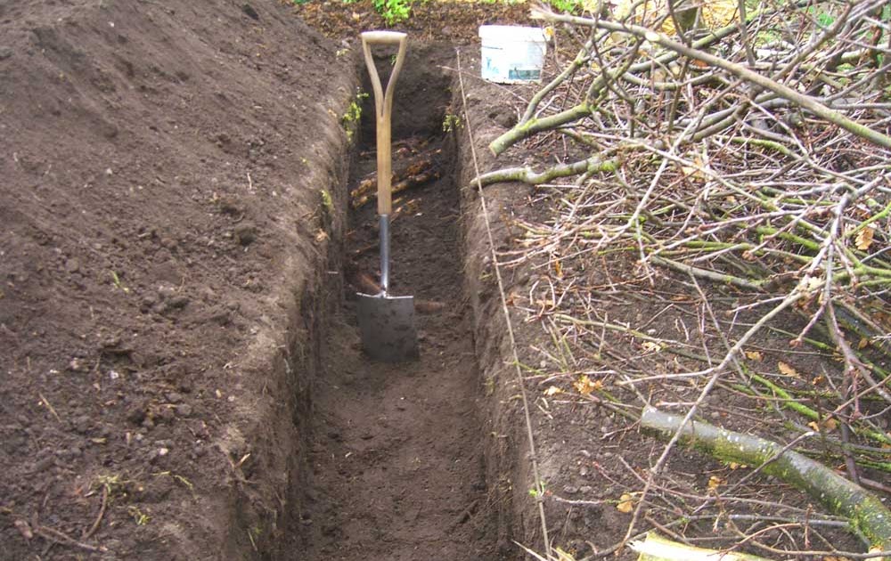 Allotment Garden Trench Hugelkultur and hot bed.